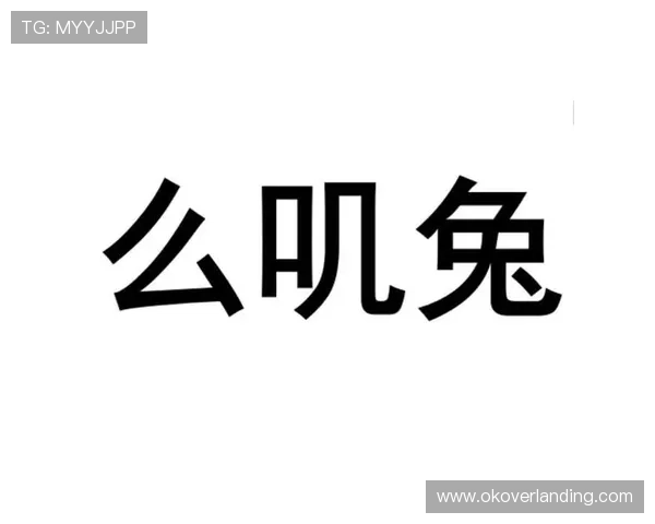 亚洲必赢国际437:新手入门必看攻略,快速掌握游戏规则与技巧 亚洲必赢国际437:新手入门必看攻略,快速掌握游戏规则与技巧