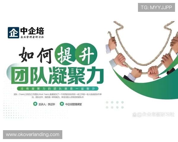 国际必赢:打造全球化游戏团队的关键策略与管理技巧,提升整体战斗力与合作效率