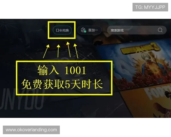 必赢3003真送33玩家实测体验分享助你了解真实游戏环境与奖励机制