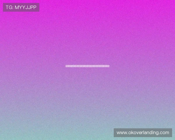 必赢体育登录注册流程详解，帮助新手快速上手体育博彩与赛事分析